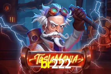 Promoções Sazonais br222