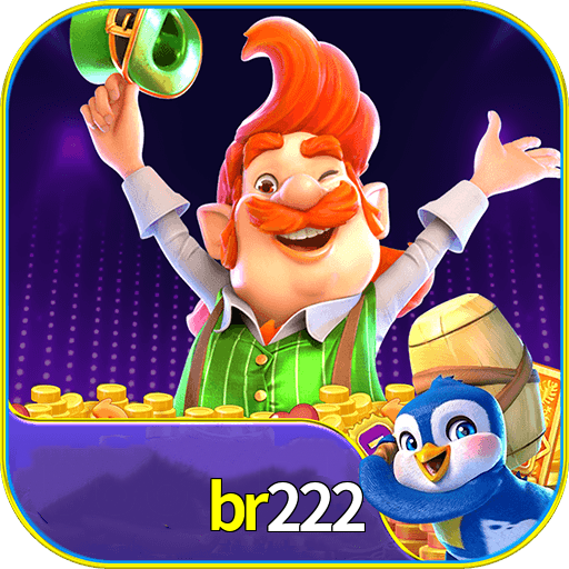 br222 Logo